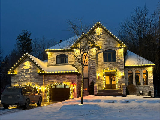 DIY C9 Christmas Light Kit - Bulbs, Wire & Clips